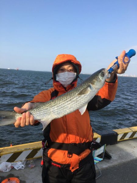 今日は、昨日より風強いいいい＾＾＾